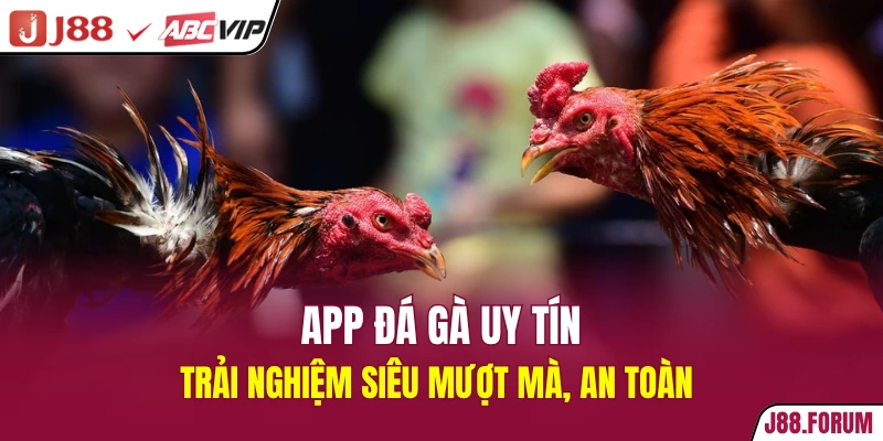 App Đá Gà Uy Tín - Trải Nghiệm Siêu Mượt Mà, An Toàn app đá gà