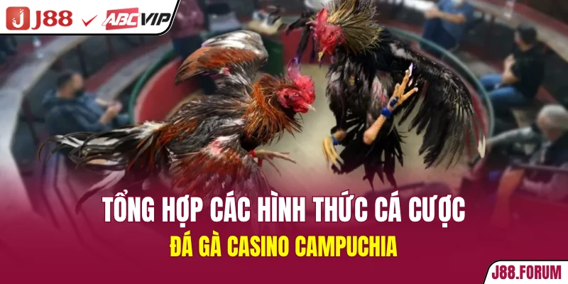 Đá Gà Casino Campuchia - Thế Giới Giải Trí Đỉnh Cao 2026 Tổng hợp các hình thức cá cược đá gà casino Campuchia
